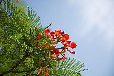 《光环：无限》音频文件暗示大逃杀模式可能存在